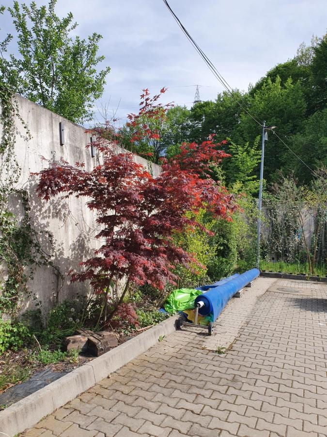 Pensiunea Roua Muntelui Brăzeşti Zewnętrze zdjęcie